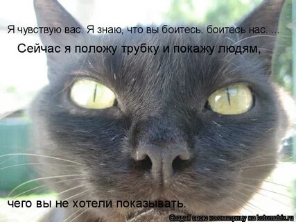 Боюсь я вас не понимаю
