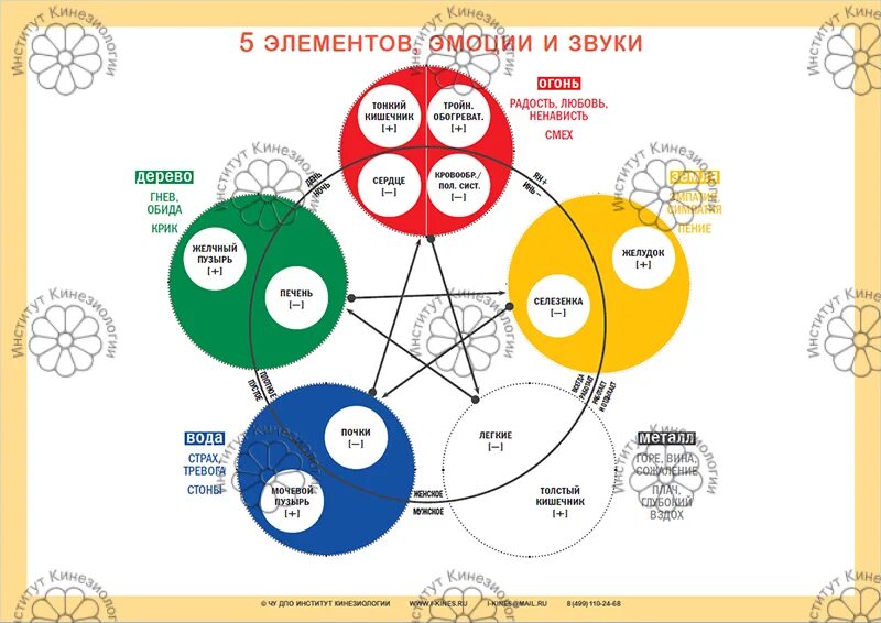 Центр 5 элементов. 5 Элементов, эмоции и звуки. Эмоции и Первоэлементы. 5 Стихий и эмоции. 5 Элементов стихий 5 эмоций.