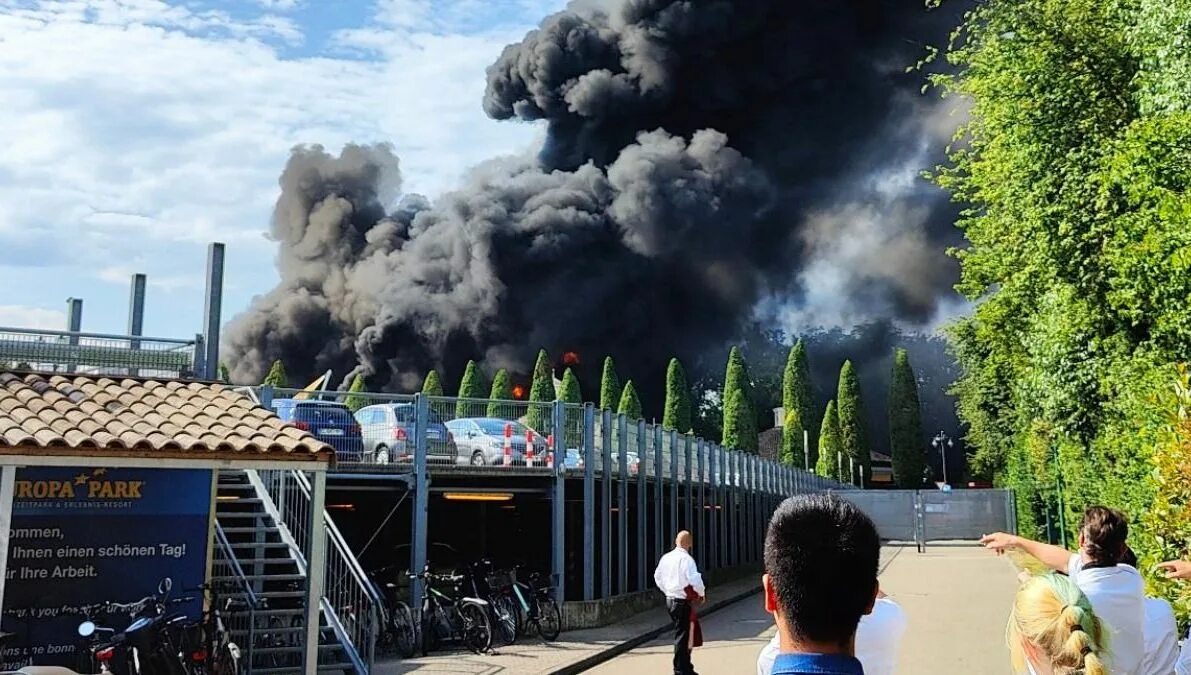 Горит парк. Европа парк пожар. огромный пожар.