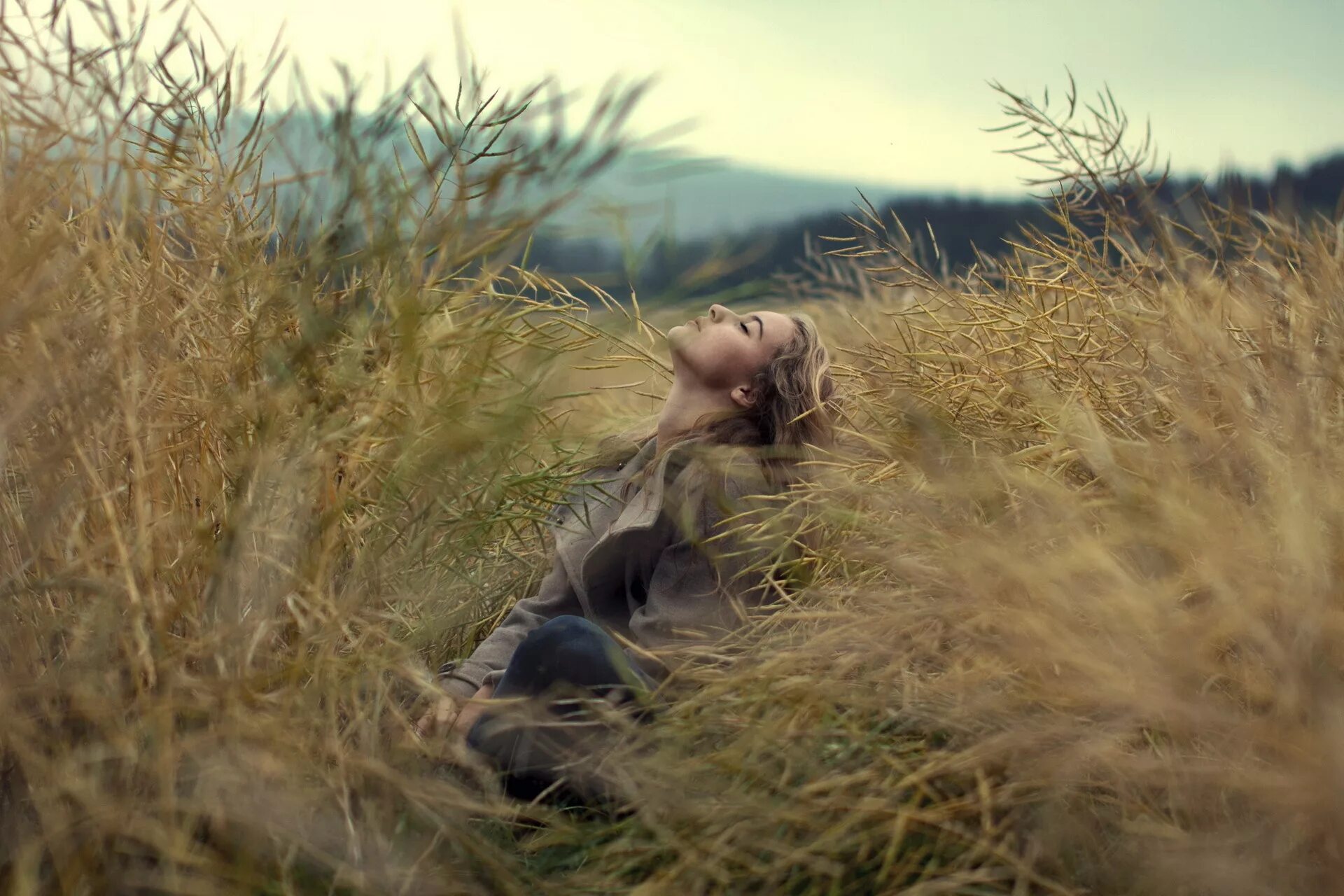 Девушка лежит в поле. Фотосессия в поле. Девушка на природе. Фотосессия в высокой траве.