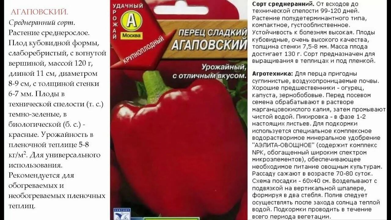 Перцы сорта фото описание. Перец сладкий Агаповский Аэлита. Сорт перца Агаповский. Сорт сладкий перец Агаповский. Перец сладкий Агаповский характеристика и описание.