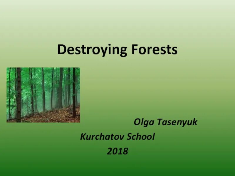 Wood or forest. Дождевые леса амазонии животные. Тропинка сквозь лес. Тропические леса на английском языке. Лес в англии.