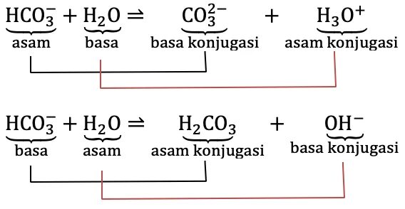 Образование hco3. Hco3 на что распадается. Hco3 картинка. Hco3 что это