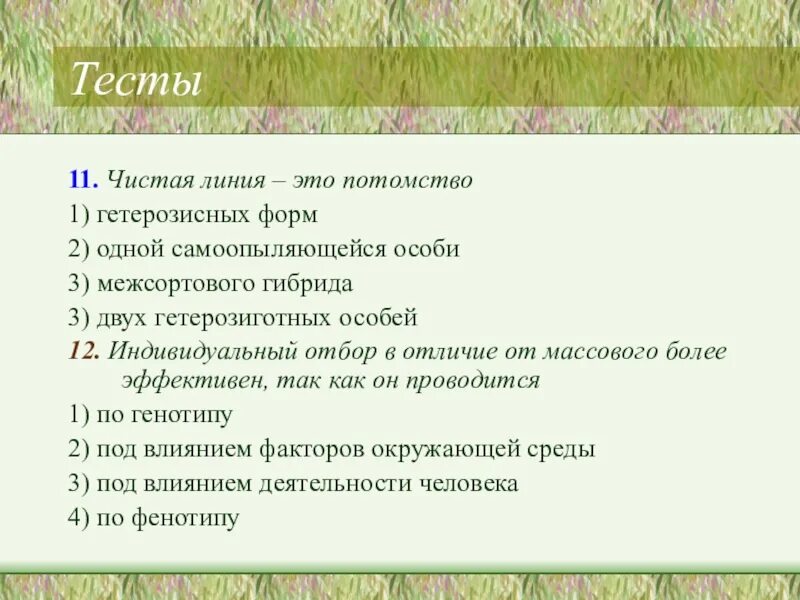 Чистая линия это потомство. Чистая линия потомство. Чистая линия в селекции. Чистые линии растений. В растениеводстве чистая линия это.