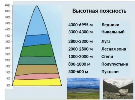 Примеры горных поясов