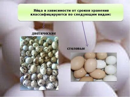 Сдать яйцо