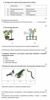 Соч биология 9 класс 3 четверть