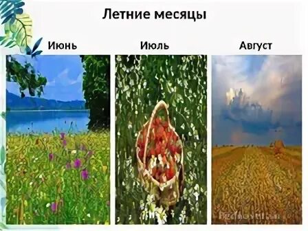 3 месяца лета