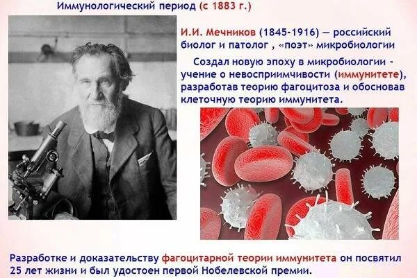 Какое явление открыл мечников. Открытия Ильи Ильича Мечникова. Мечников вклад в биологию.