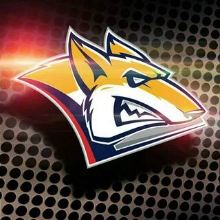 Хк металлург steel fox