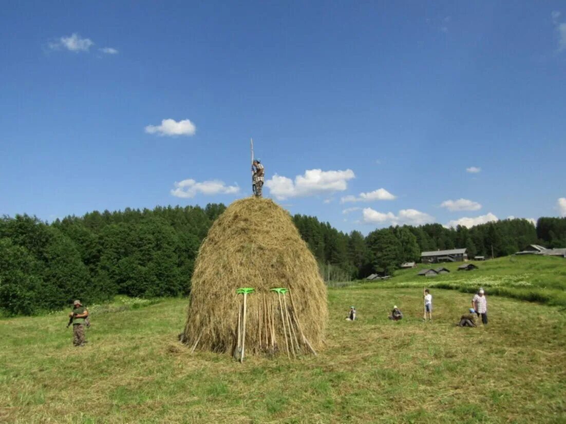 Деревня поле сенокос. Сенокос. Сенокос в деревне. Деревня 1990 сенокос. Сенокос.