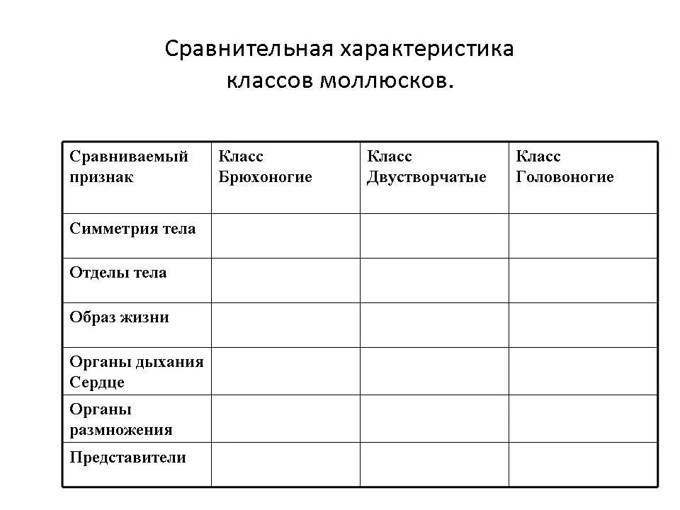 Общая характеристика классы моллюсков. Таблица по биологии 7 класс моллюски двустворчатые брюхоногие. Моллюски сравнительная характеристика классов таблица. Таблица по биологии 7 класс сравнение классов типа моллюски. Тип моллюски сравнительная характеристика классов таблица.