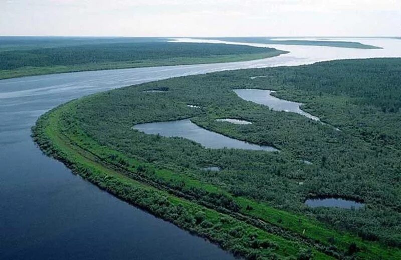 Самая большая сибирская река. Западно-Сибирская равнина река Енисей. Река Енисей. Воды Западно сибирской равнины. Западно Сибирская равнина Обь.