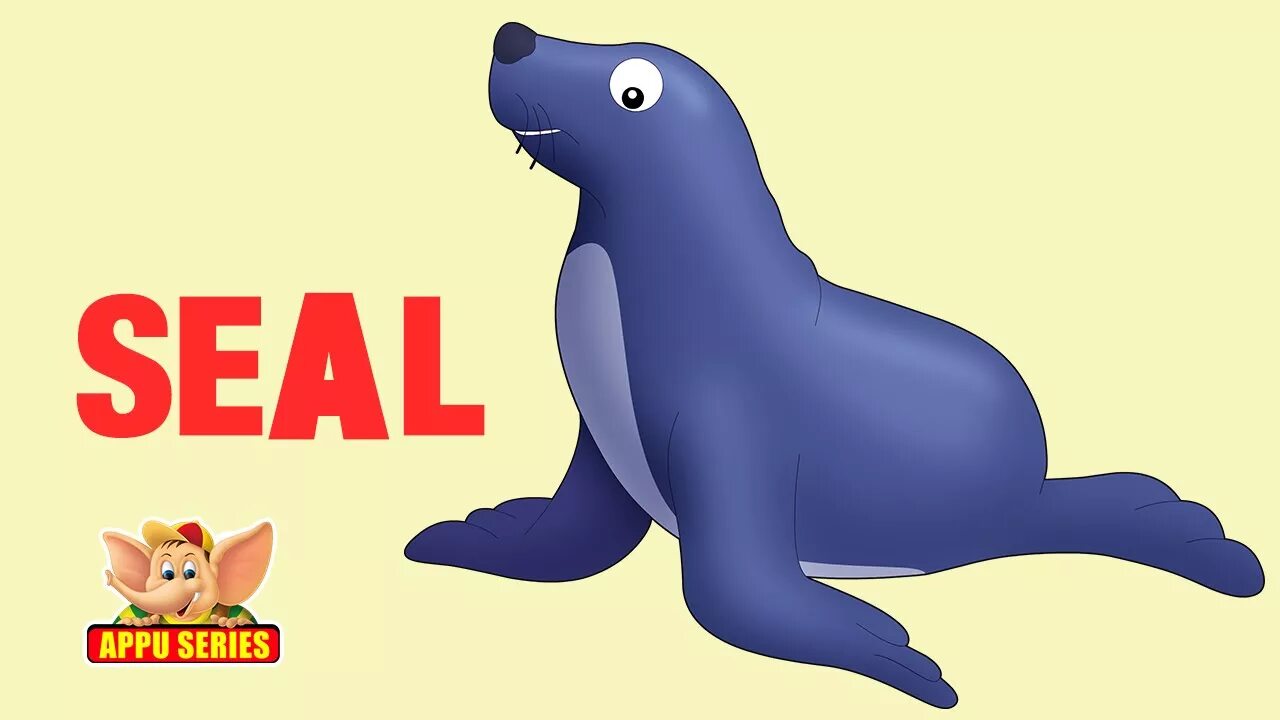 Как будет по английскому морская. Seal карточка для детей. Морской Лев мультяшный. Морской котик мультяшный. Тюлень рисунок для детей.
