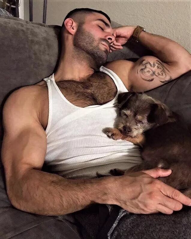 Hairy liking. Спящий волосатый мужчина. Большие мужчины с кошкой. Волосатый мужик кошечка.