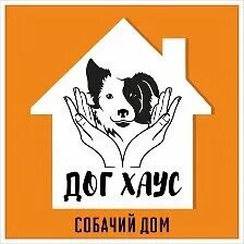 Собака за 150 тысяч. Приют дог хаус томск. Приют дог хаус томск. Приют дог хаус томск. Название для хауса собак.