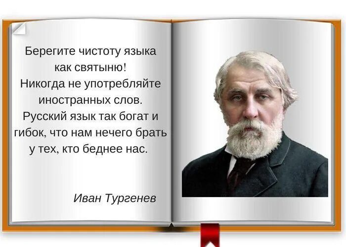 Берегите чистоту языка. Высказывание Тургенева о русском языке. Писатели о русском языке. Цитата Тургенева о русском языке.