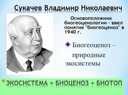 Экосистема ученый