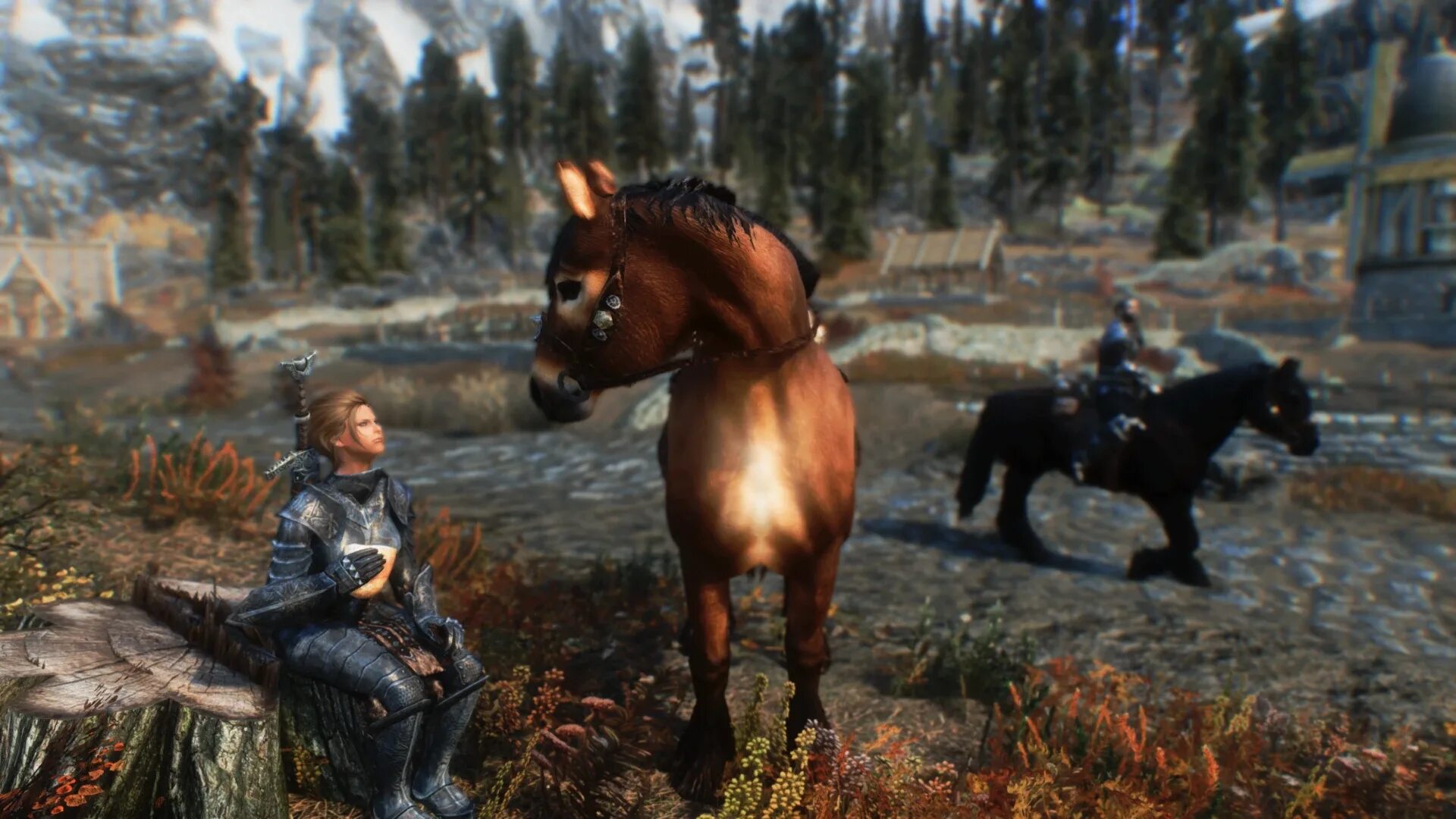 Skyrim мод immersive. Скайрим мод immersive citizens. лошадь из скайрима. immersive citizens ai overhaul.