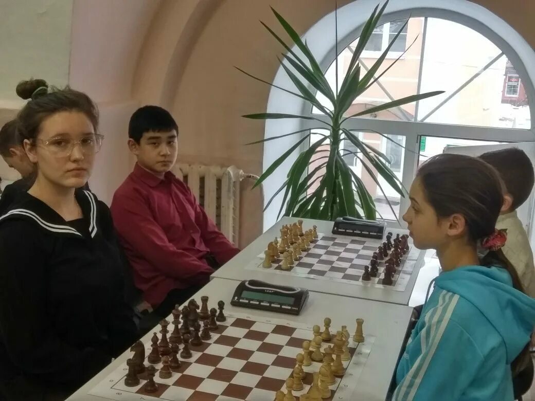 Шахматы бесконечный шах. 3d шахматы. Шахматная тематика. Дебют в шахматах основные принципы. Дебют коня в шахматах.