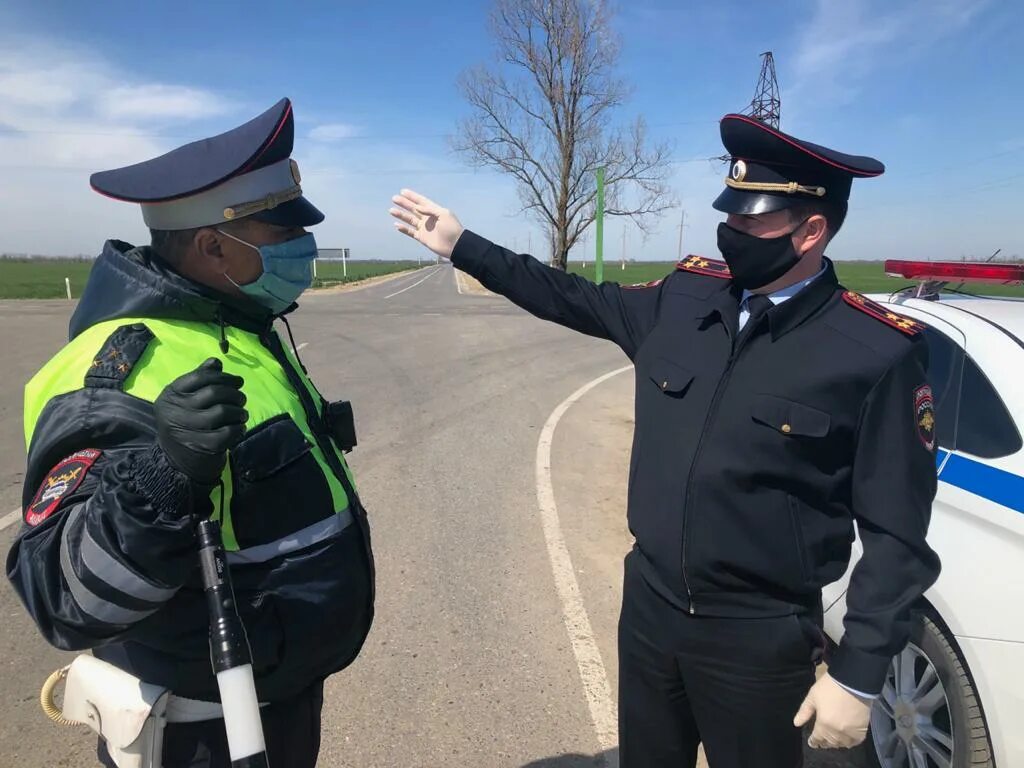 Дпс ставрополья. Дпс ставрополья