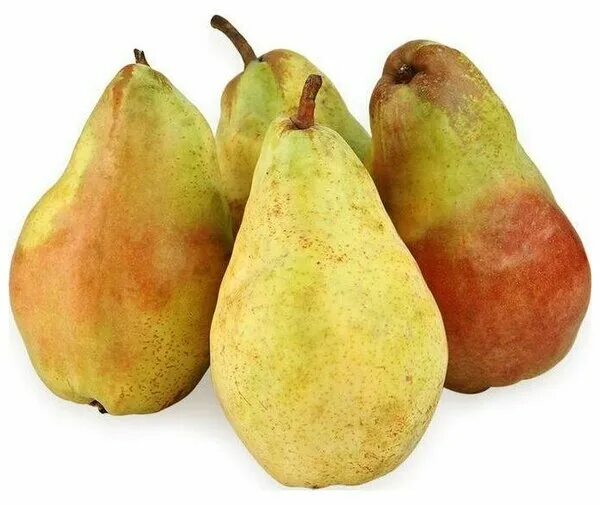 Груша сезонная фото Купить груша сезонные, Россия, 0.9кг, цены на Мегамаркет Артикул: 100029319649