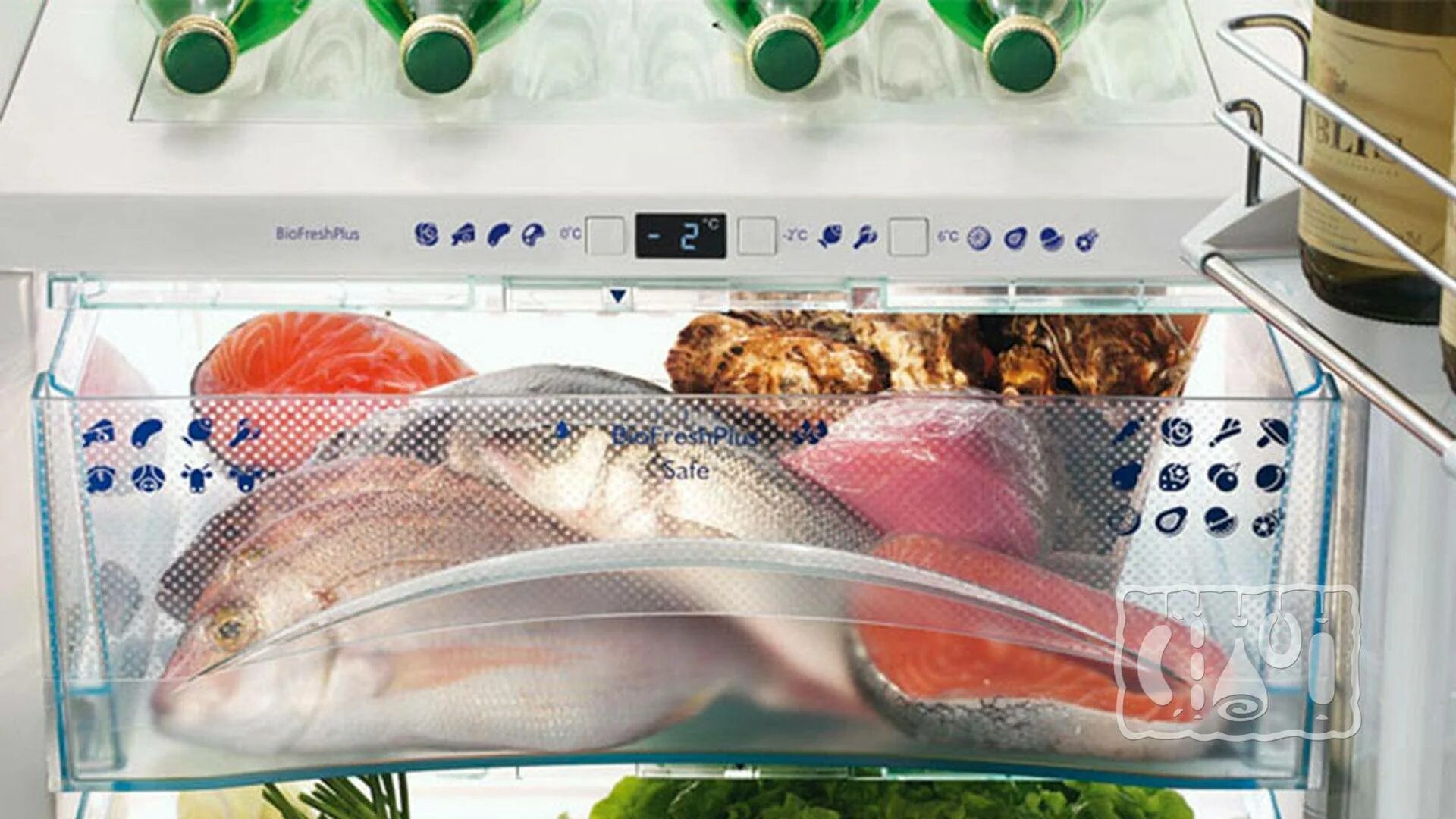 Можно ли замораживать копченую рыбу в морозилке. Хранение рыбной продукции. хранение рыбы в морозильной камере. рыба в морозилке. холодильник для охлажденной рыбы и морепродуктов.