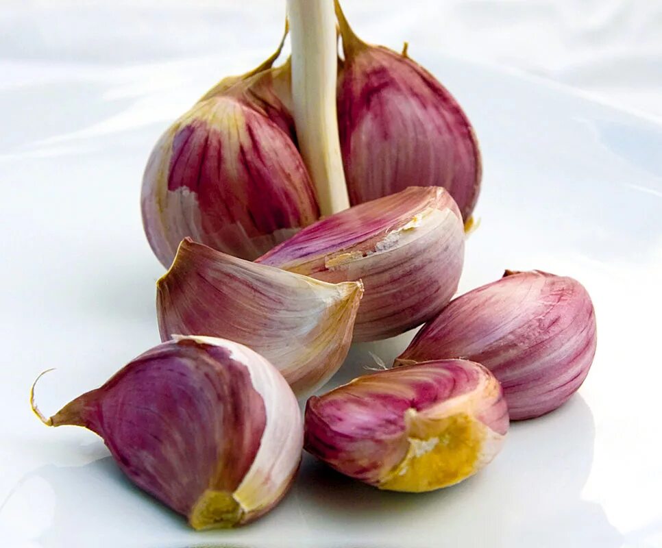 Чеснок. Зубчика чеснока целиком. Долька чеснока. Саримсок пиез. Зубчика чеснока целиком.