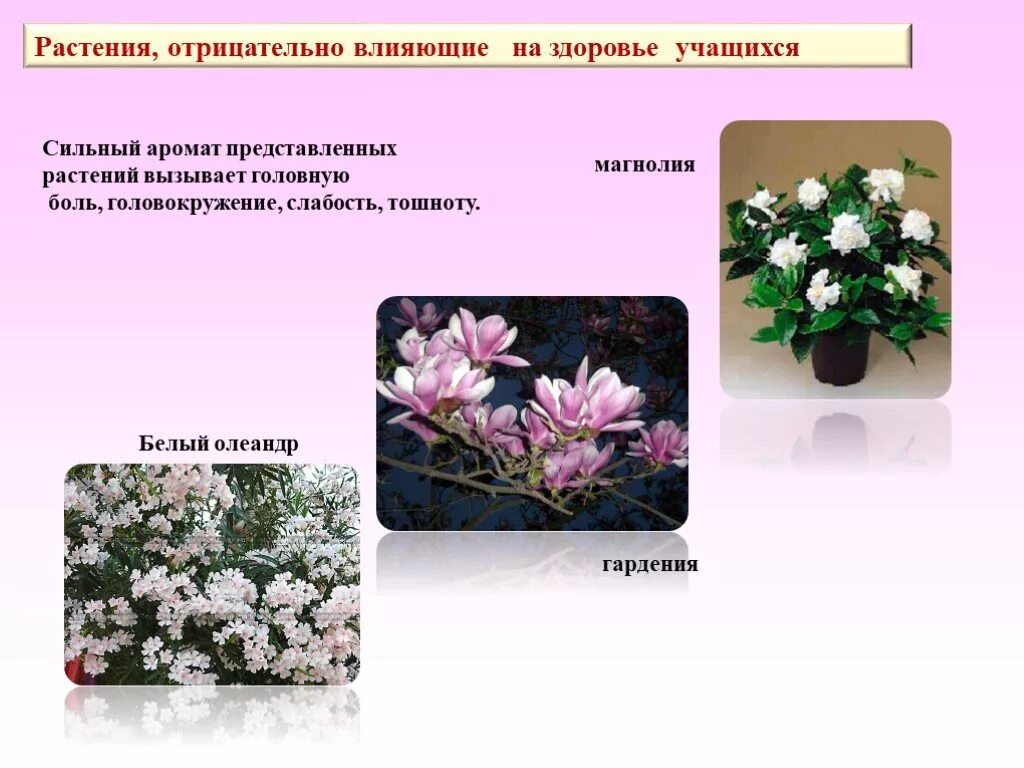 Влияние ⚠ человека на природу: положительные и отрицательные факторы