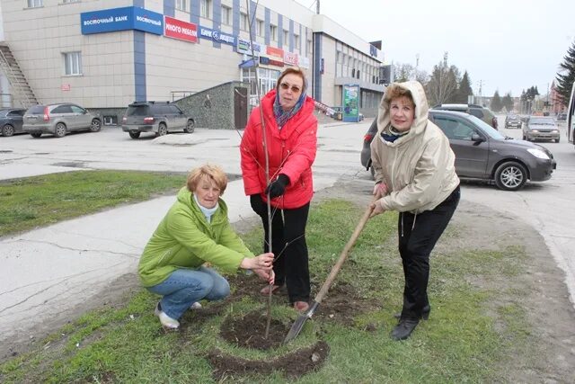 Работа в искитиме для женщин. Озеленение улиц посадка деревьев. Посадка деревьев в Новосибирске 2021. Дом ветеранов Искитим. Бердск посадка деревьев 1 мая.