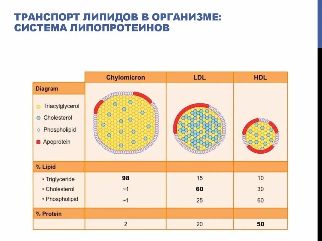 3 3 низкой плотности