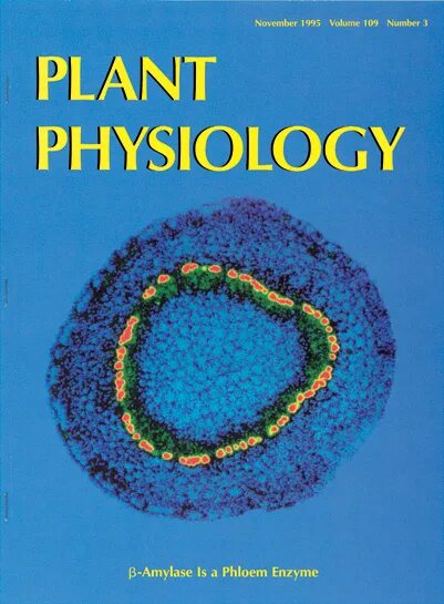 Plant physiology. Journal of exercise Physiology Journal.