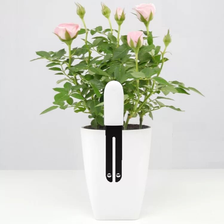 Xiaomi для цветов. Xiaomi smart flower monitor. Flower monitor. Xiaomi mi flora monitor. Flower monitor.