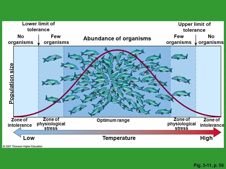 Upper limit. Пессимум это в экологии. Lower limit. Temperature tolerance graph of Terrestrial Organisms. No Tolerant Zone.