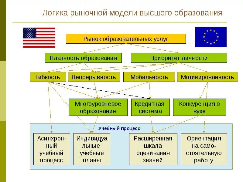 Модели высшего образования. Высшее образование структура. Модель современного высшего образования. Модель системы образования в РФ. Территориальные системы высшего образования