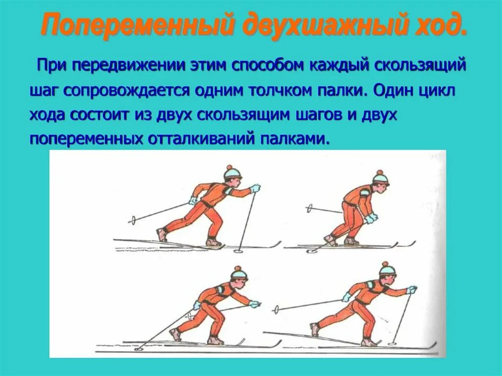 Виды лыжных дистанций. Техника попеременного двухшажного шага. Скользящий шаг. Попеременный двухшажный ход. Попеременный двухшажный ход с палками. Отталкивание двухшажный ход.