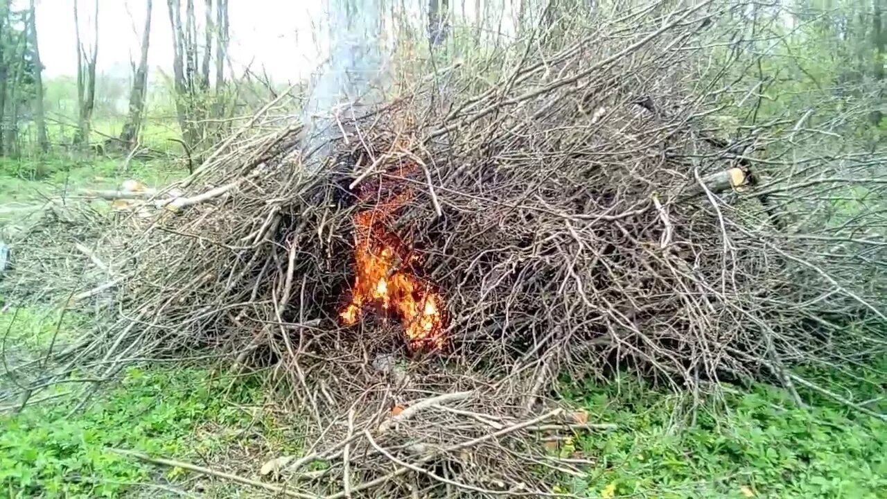 Можно ли жечь ветки на своем участке. Сжигают ветки. Кучка сухих веток. Сжигание веток. Куча веток с землей.