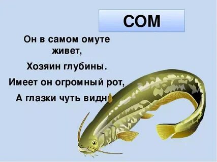 Рыба 1 буква на л