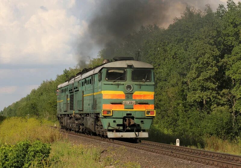 3тэ10мк 1345. Перегон Лужки Паньково. Станция Паньково Орловская область. Электричка Льгов Орел.