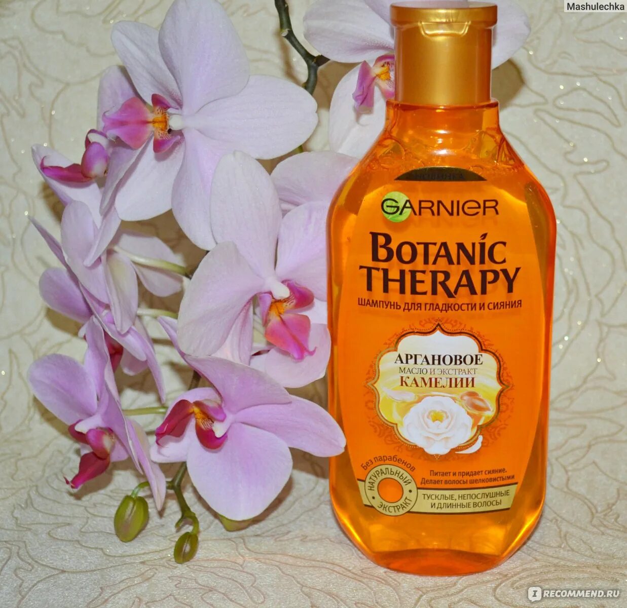 Камелия синенсис чай. Huilargan масляный экстракт для объема волос. Camellia sasanqua. Камелия сасанква пинк. Botanic therapy аргановое масло экстракт камелии.