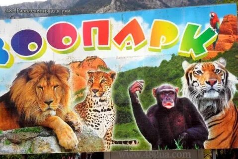 Зоопарк скидки в день рождения
