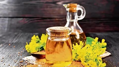 Горчичное масло польза и вред для организма