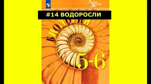 Аудио параграф 6 класс