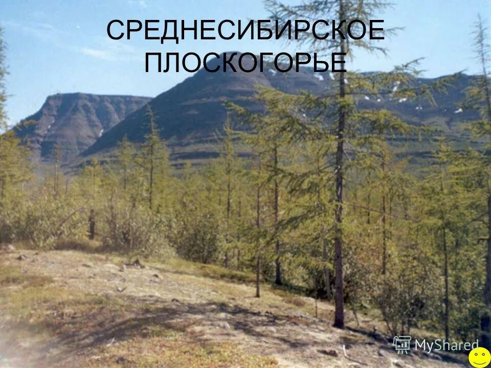 Среднесибирское плоскогорье почвы. Среднесибирское плоскогорье. Снедне Сибирское плоскогорье. Хребты: становой, Сихотэ-Алинь. Среднесибирское плоскогорье информация.