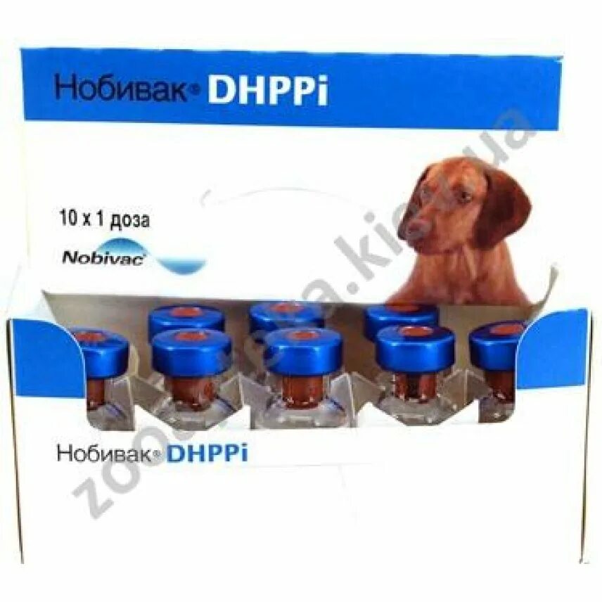 Нобивак DHPPI Nobivac DHPPI. Нобивак DHPPI 10х1д. Нобивак DHPPI RL для собак. Купить прививку для собак нобивак