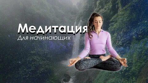 Счастье для начинающих