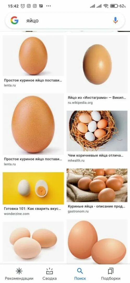 Купить яйца брама. Яйца Брама. Брама цвет яиц. Яйца кур Брама. Размер яйца брамы.