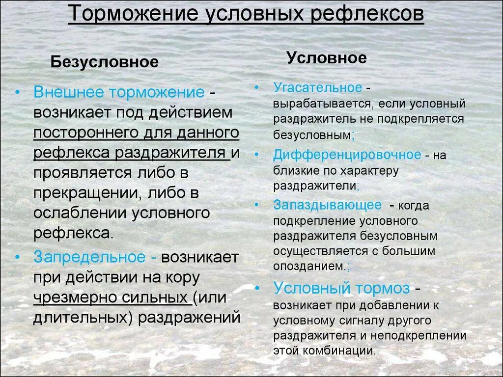 Безусловное торможение условных рефлексов. Характеристика видов торможения условных рефлексов. Внешнее и внутреннее торможение условных рефлексов. Внешнее торможение условных рефлексов.