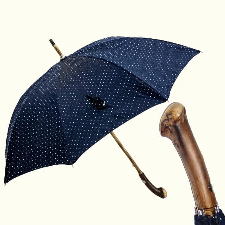 Дорогой зонтик. Трость Pasotti. Зонт Италия Pasotti. Зонт мужской трость с большим куполом. Зонт дорогой.