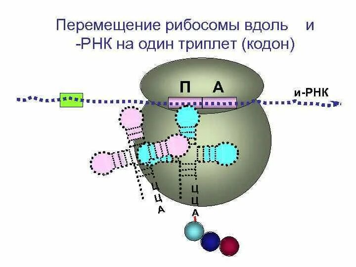 НЛО прилетело и украло описание.